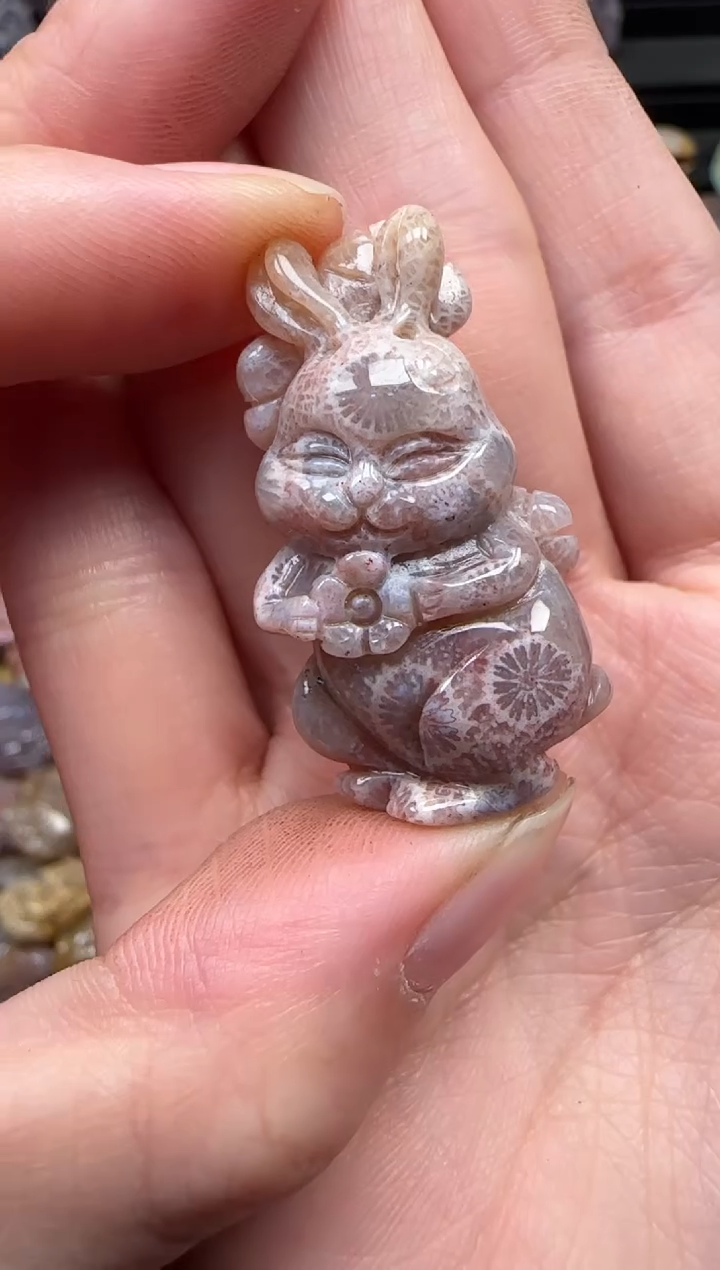 颈饰未镶嵌硅化珊瑚（珊瑚玉）647