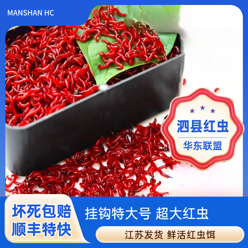 【拉饵中小号】净虫不带土/拉饵肉夹馍