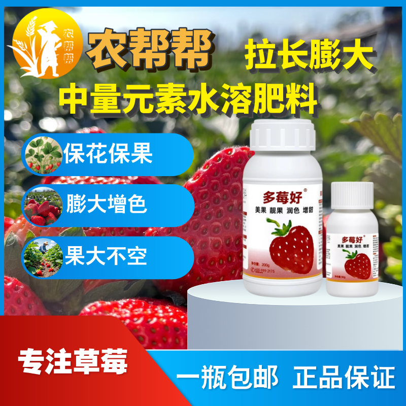  【农帮帮】 草莓拉长膨大素草莓专用靓果美果膨大剂增产剂膨大素