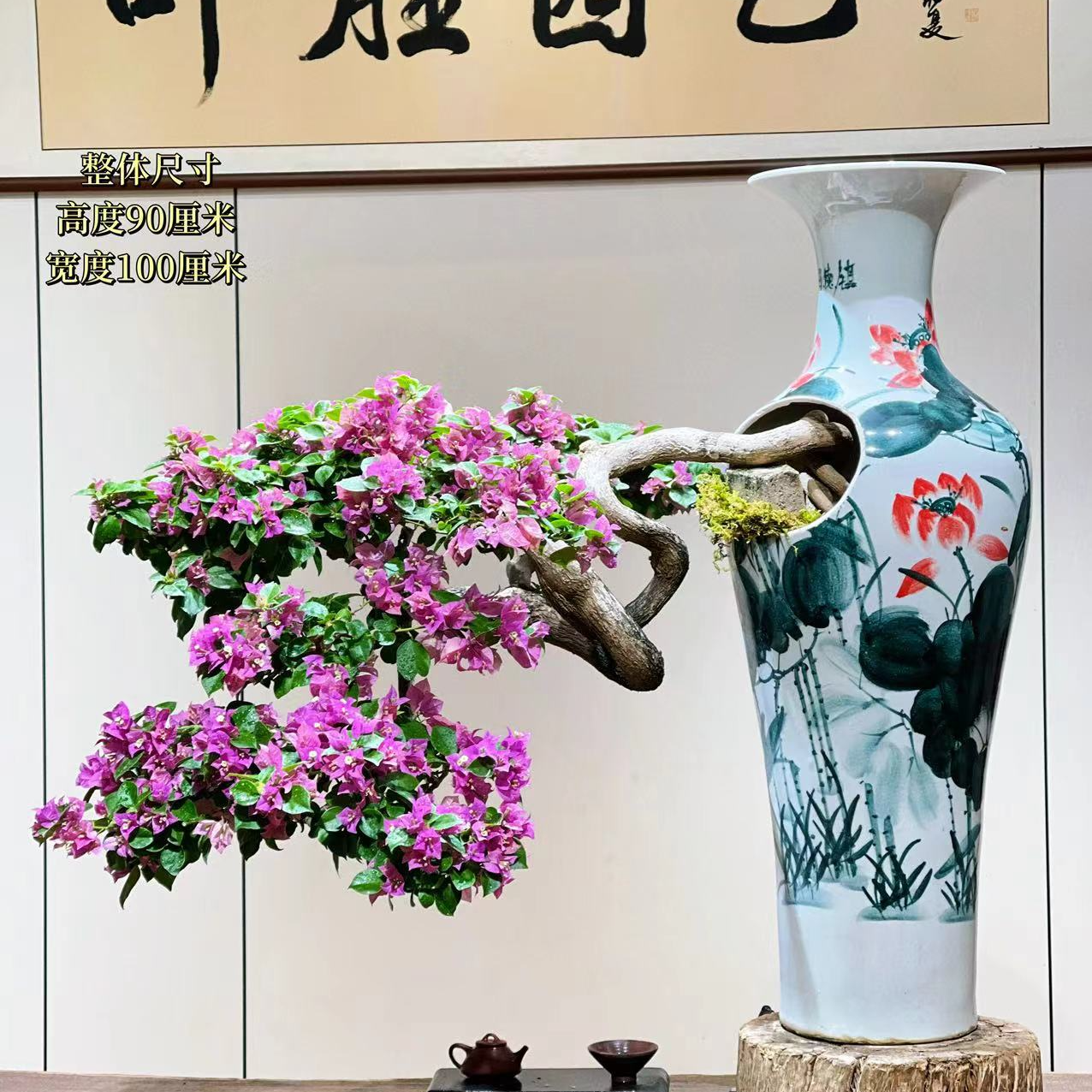 【叶胜园艺】精品小叶紫老桩三角梅盆景