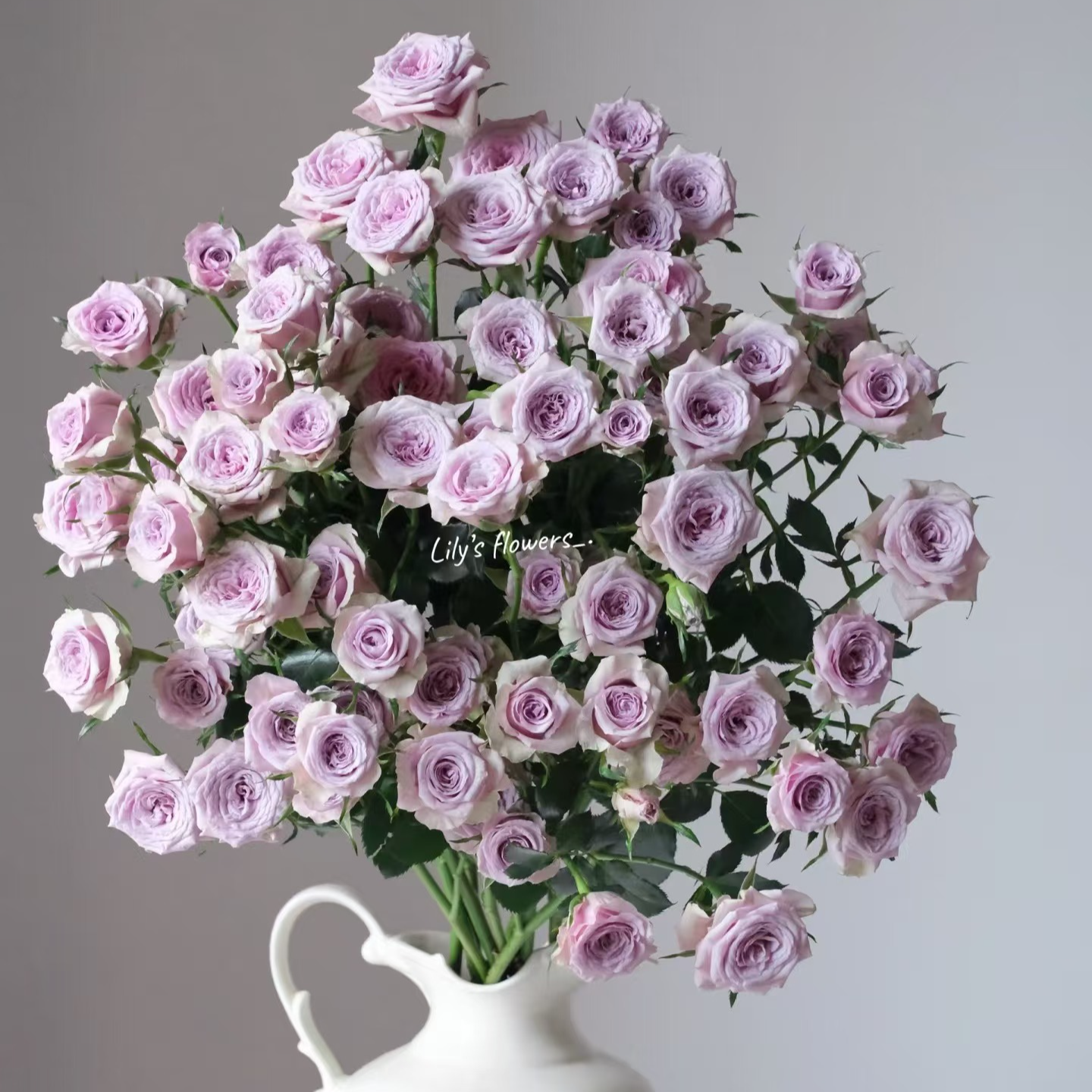 莱拉多头玫瑰：0度及以下气温请拍保温棉【不拍冻坏不售后】