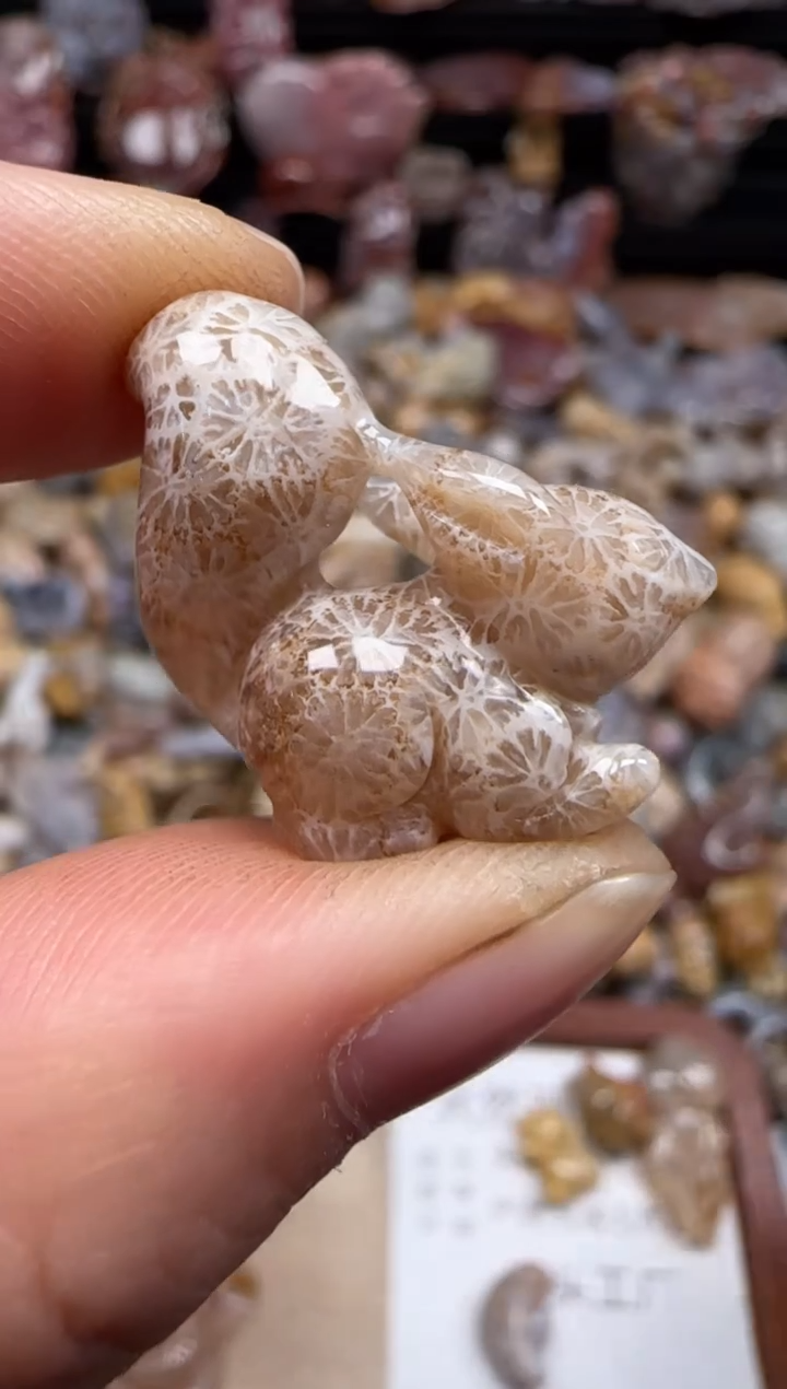 【闪购商品】硅化珊瑚（珊瑚玉）颈饰未镶嵌759