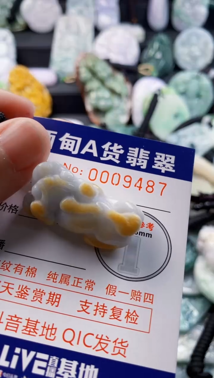 翡翠未镶嵌吊坠(不含链)1