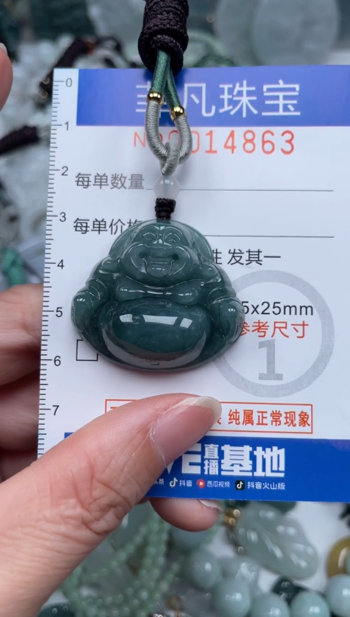 颈饰未镶嵌翡翠14863
