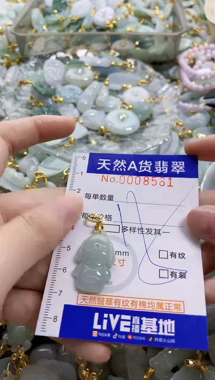 颈饰未镶嵌翡翠天然A货翡翠