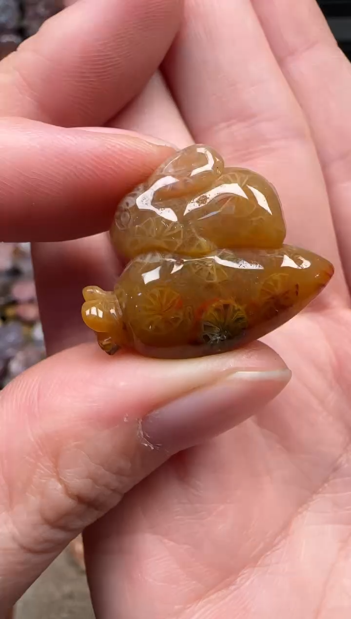 颈饰未镶嵌硅化珊瑚（珊瑚玉）622