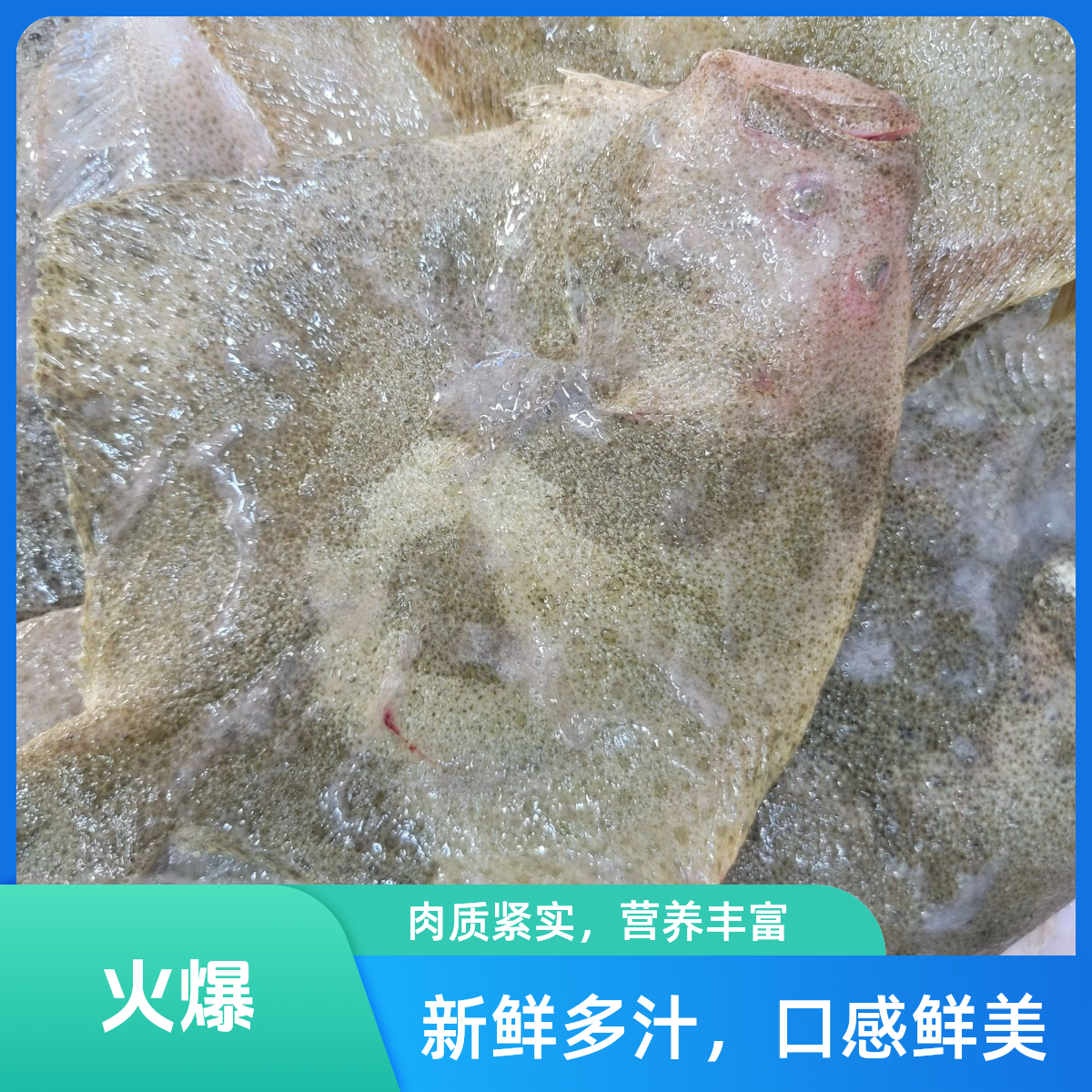 小船多宝鱼（每条3-4两）2斤