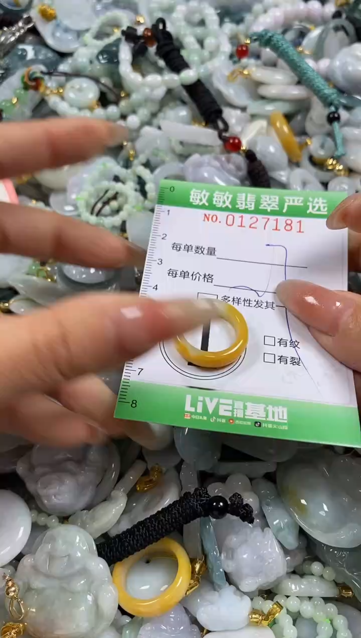 【闪购商品】翡翠颈饰未镶嵌闪购0127181