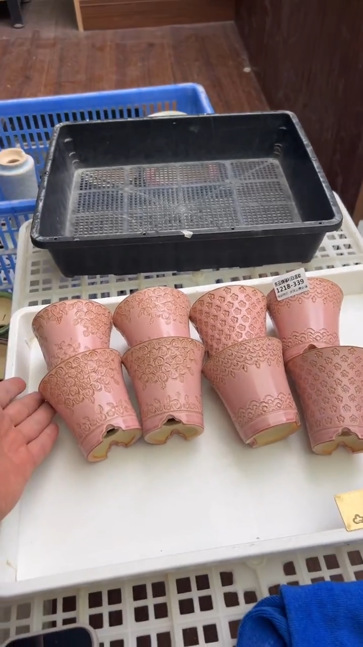 1218-339 内口 6.5 瑕疵福利 默认一只