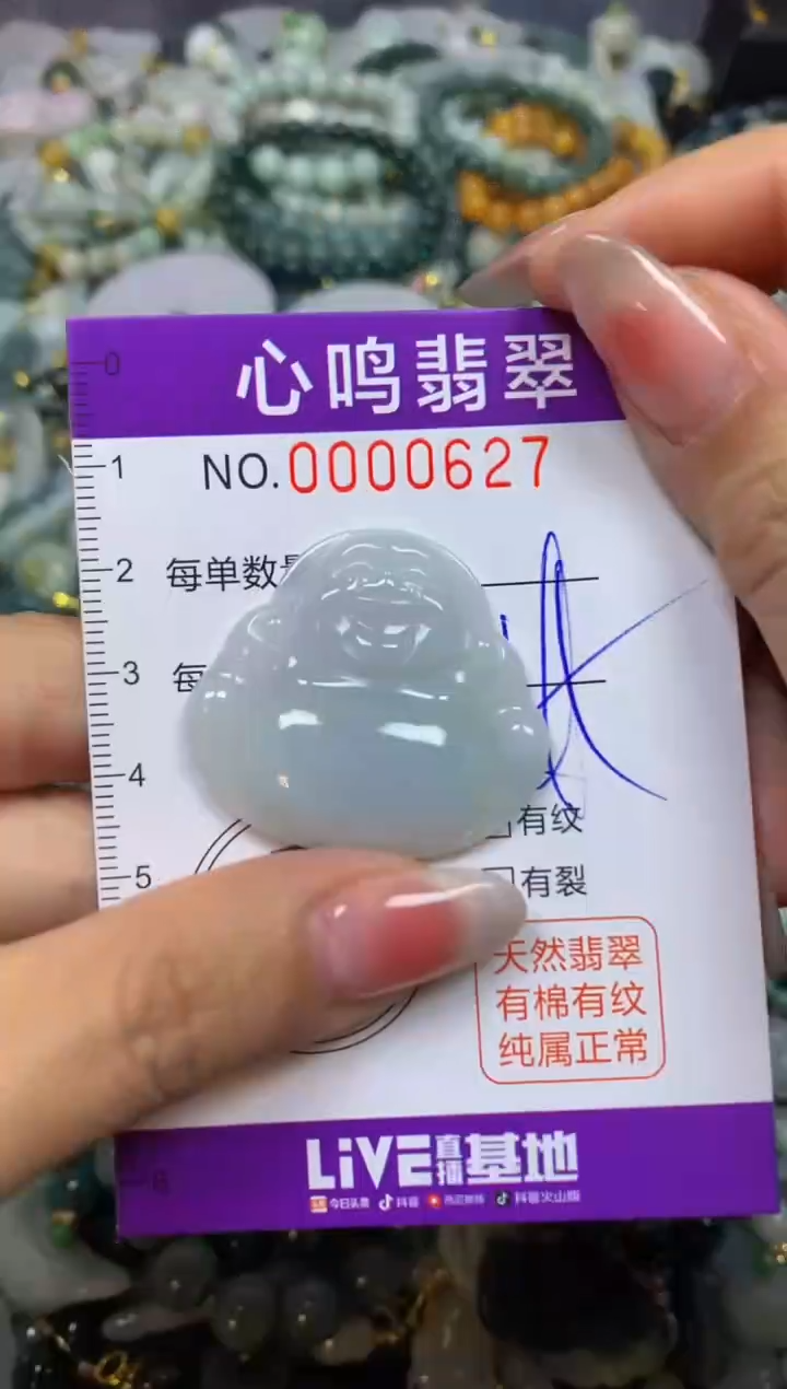 【闪购商品】翡翠颈饰未镶嵌闪购00627