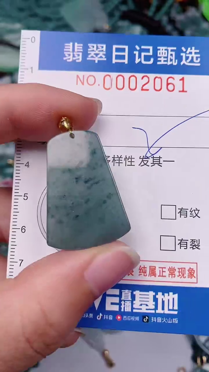 【闪购商品】翡翠颈饰未镶嵌00002061