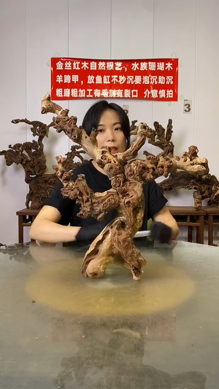 香榧木阿*金丝红木   羊蹄甲