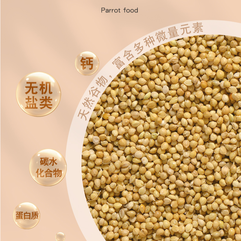 鹦鹉到手5斤装包邮S