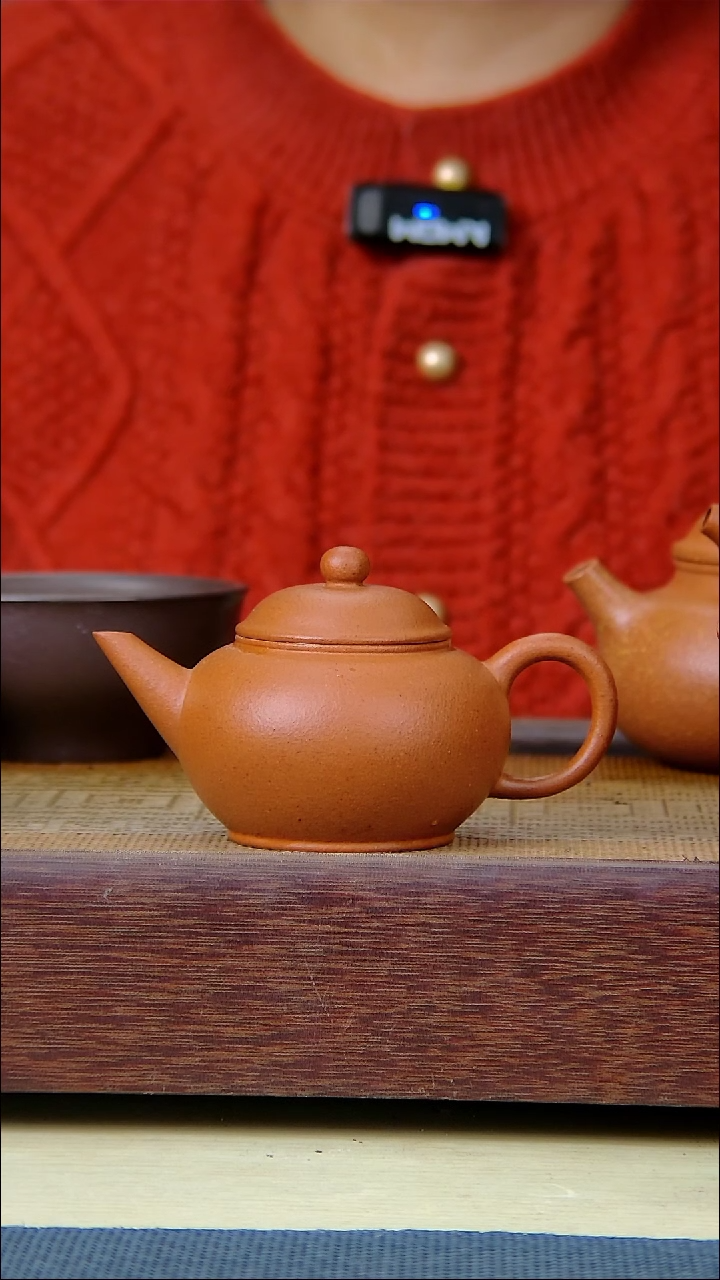 宝山红泥小水平100cc纯原矿