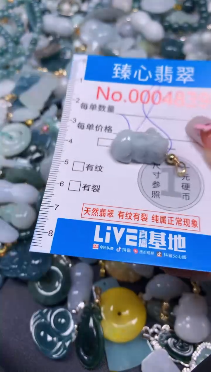 【闪购商品】翡翠颈饰未镶嵌含绳0004839