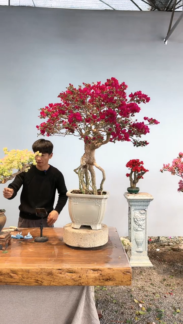 【闪购商品】AA918