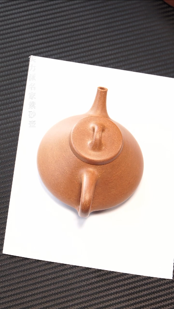 紫砂茶壶子冶石瓢