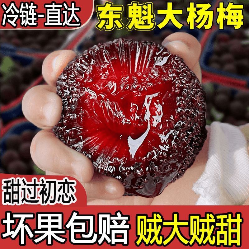 【官方补贴直播间下单加送10颗】整箱3斤仙居高山东魁杨梅泡酒专用空运冷链新鲜凌晨现摘礼盒装浙江省