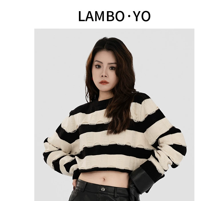 LAMBOYO2024秋季条纹休闲撞色上衣女圆领套头短款显瘦宽松毛衣