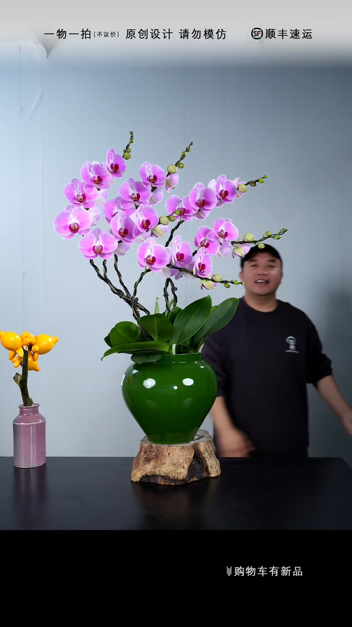 【闪购商品】008号链接【一物一拍】艺术盆景