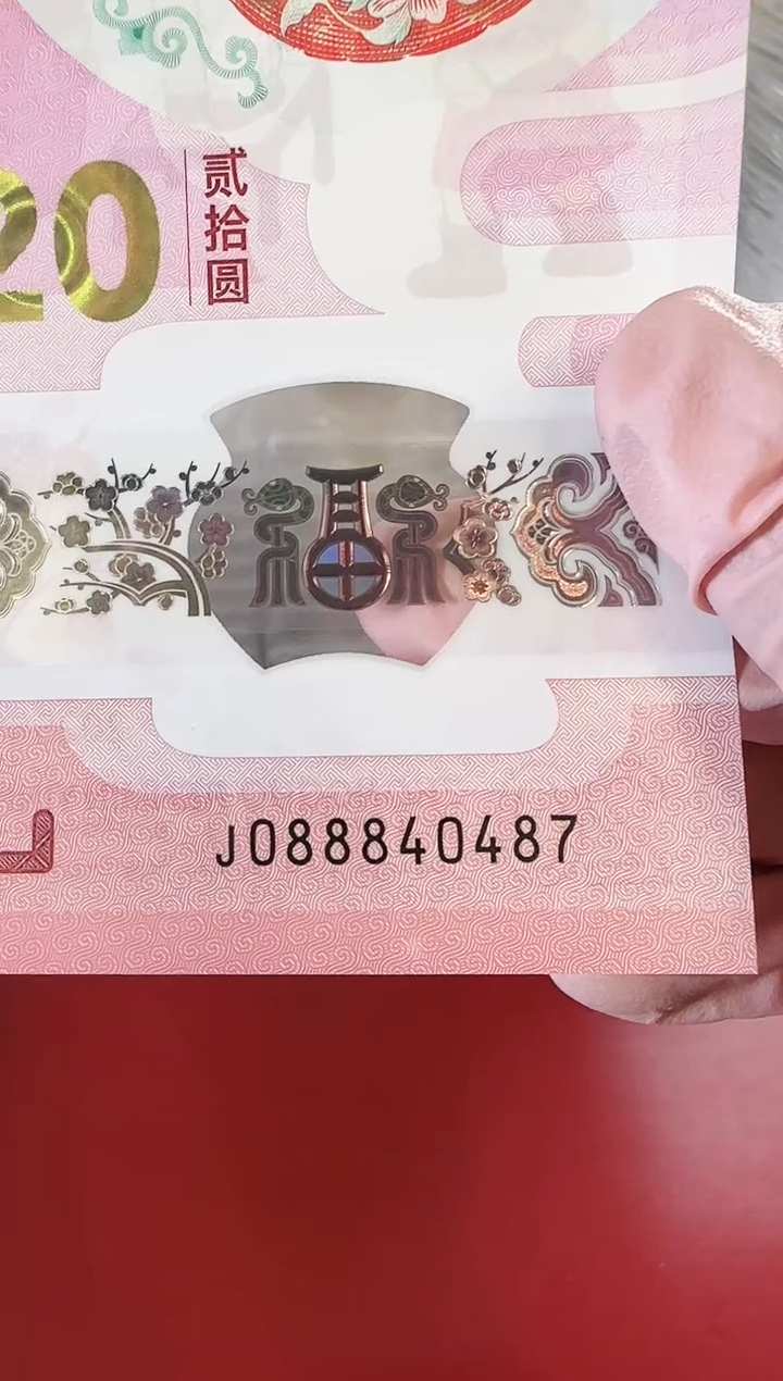 【闪购商品】塑料25蛇钞啊啊啊啊啊啊啊单张裸