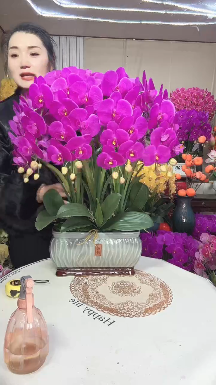 直播间特大号保湿蝴蝶兰新款