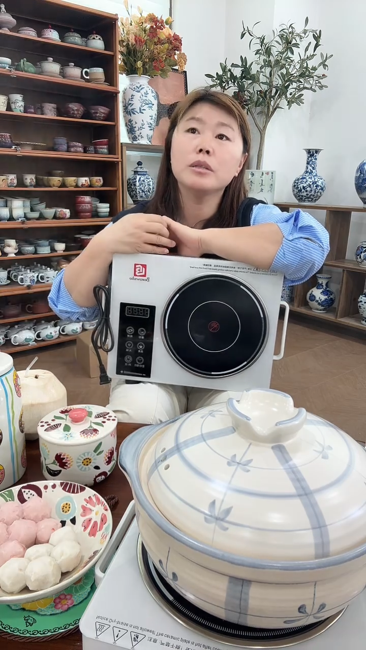 陶勃朗菲电陶炉.....