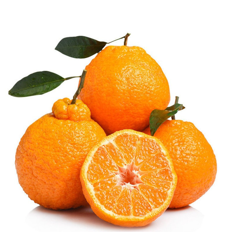 精品耙耙柑约900±100g