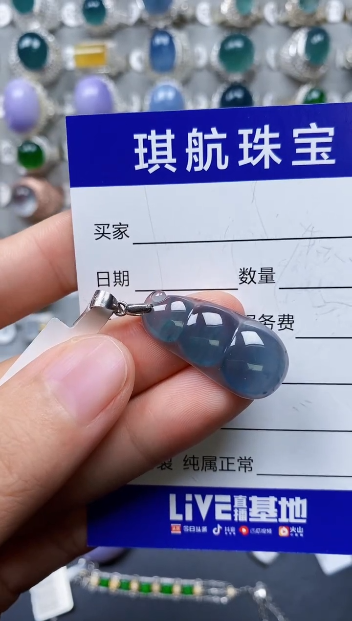 【闪购商品】翡翠颈饰银S925镶嵌0040