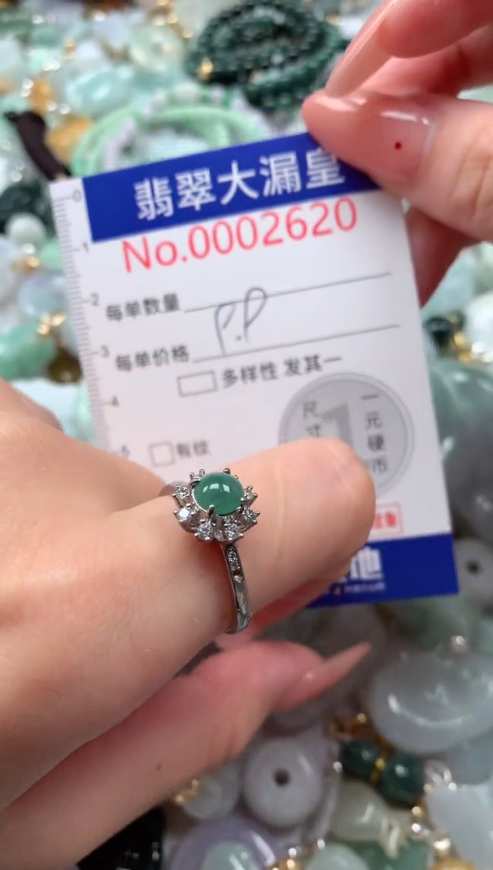 翡翠未镶嵌吊坠(不含链)620