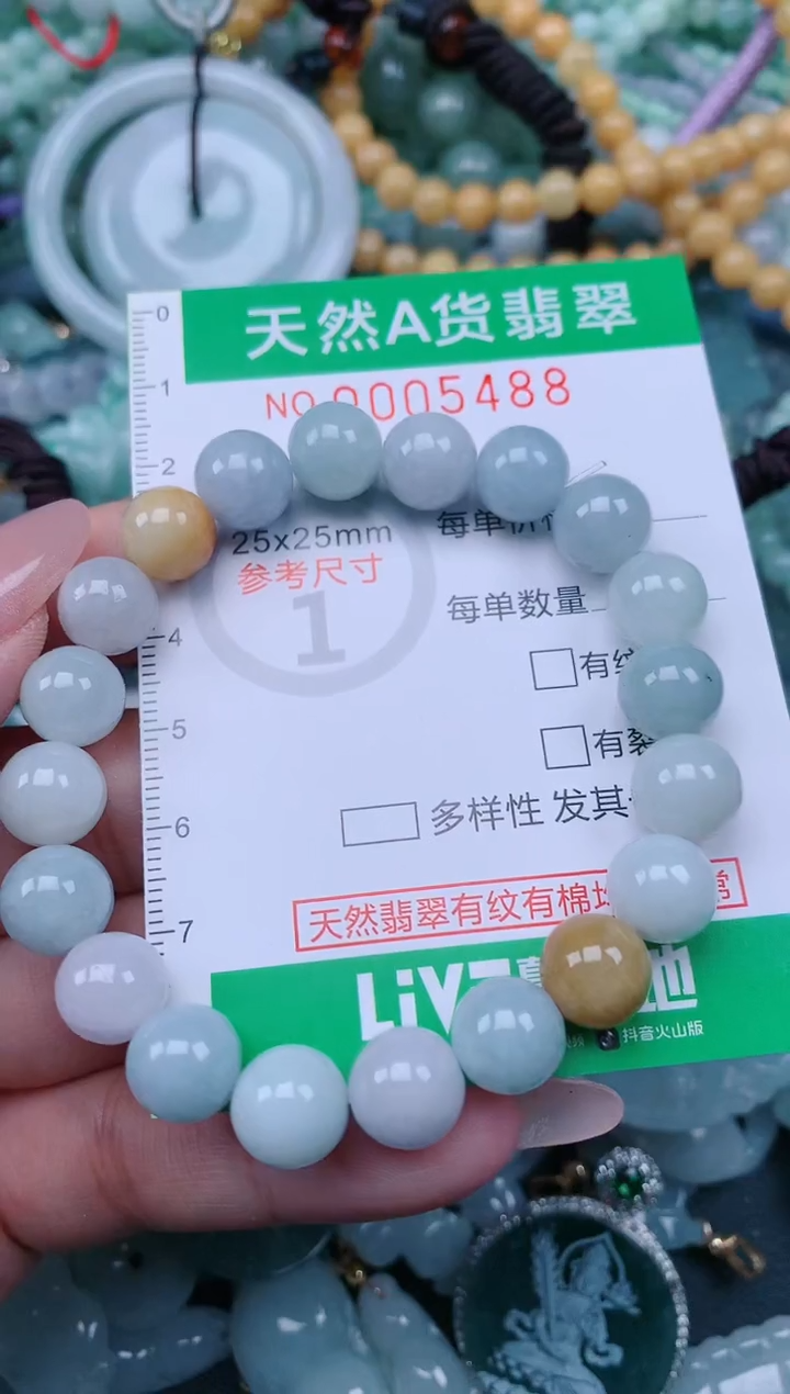 翡翠未镶嵌颈饰.0005488