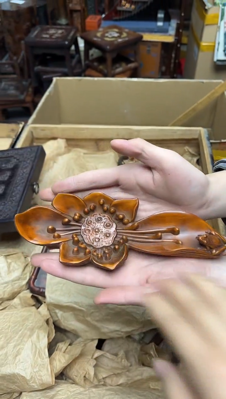 黄杨木八号甄选八号甄选