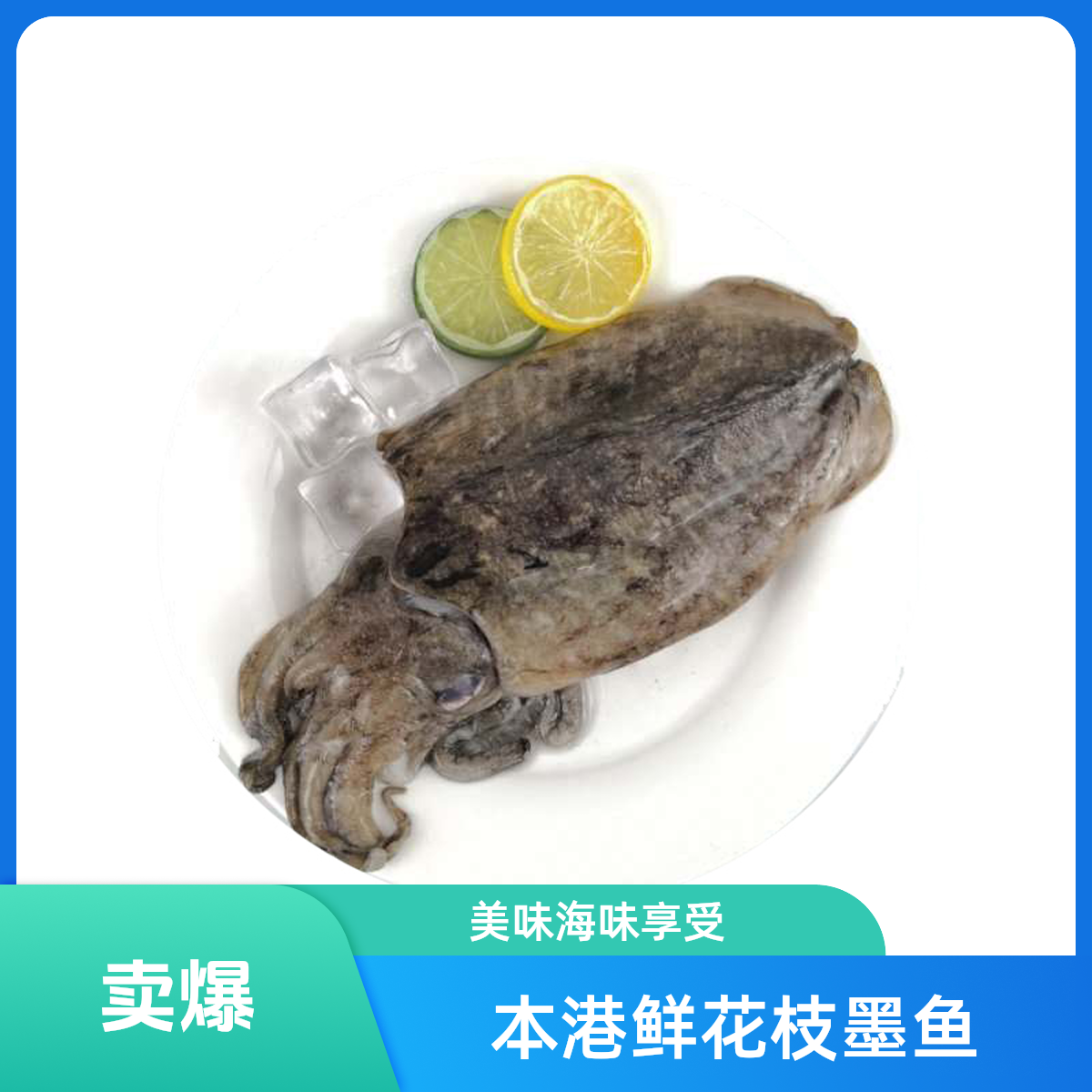本港鲜花枝墨鱼   约450-500g/份