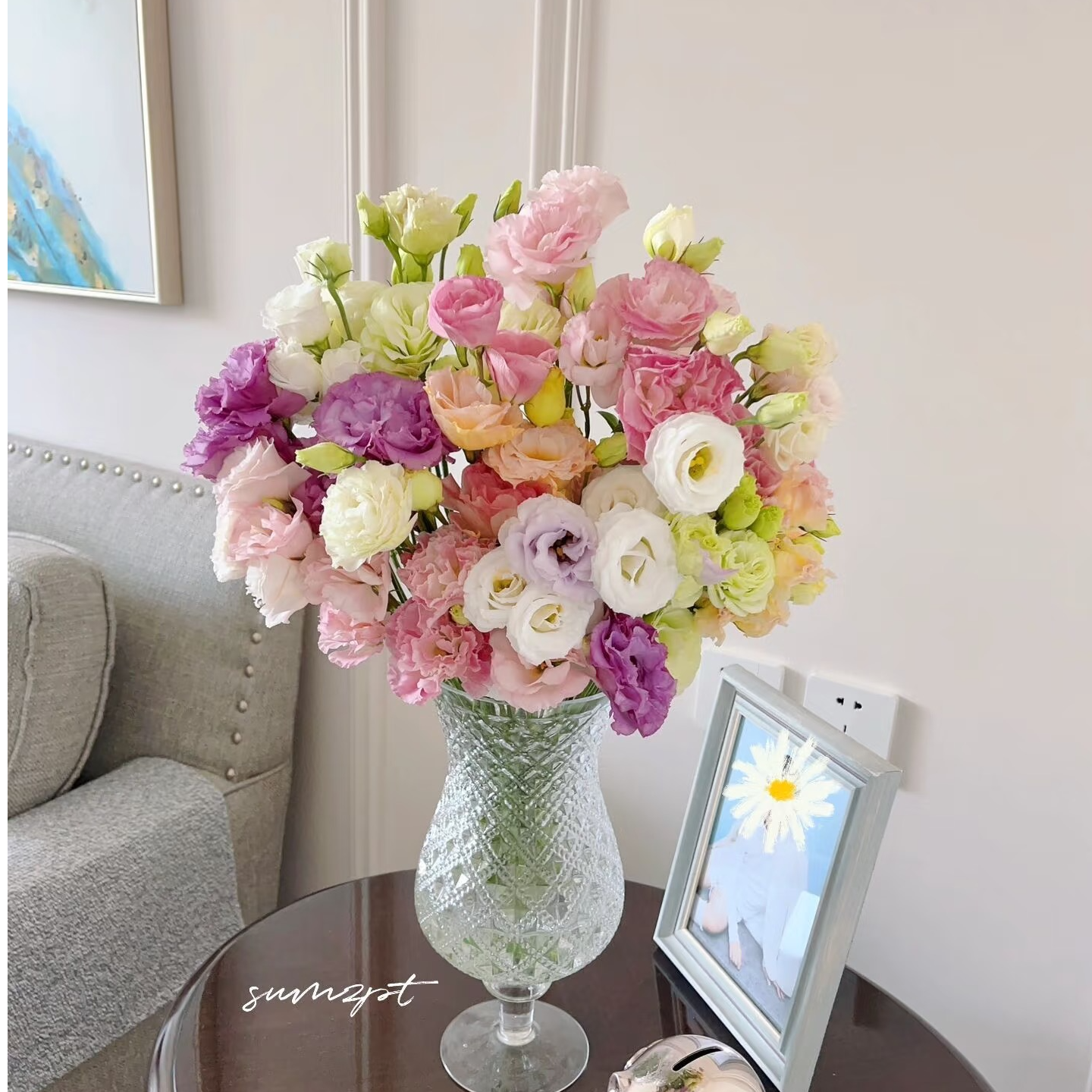 【混色洋桔梗600克】任意拍两单升级顺丰三单送配草 家庭养花水养花