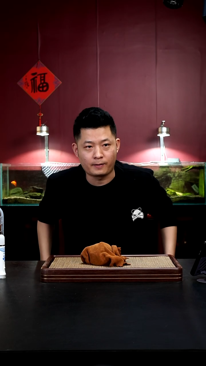 茶壶紫砂宜兴原矿紫砂壶