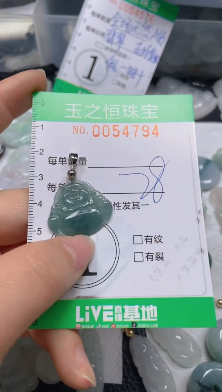 【闪购商品】翡翠未镶嵌颈饰闪购0054794