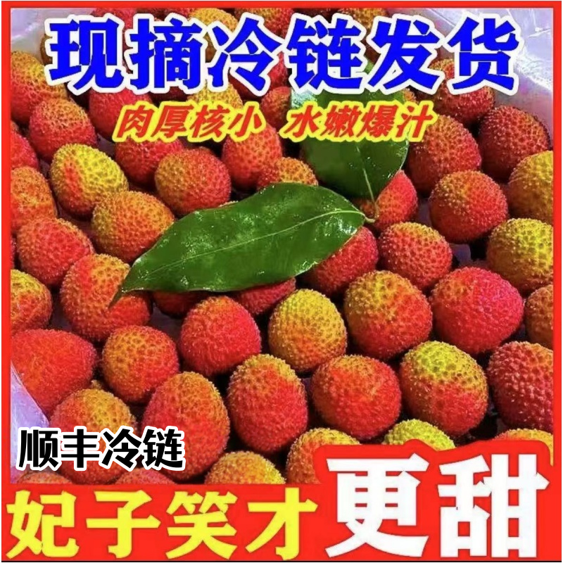 【顺丰冷链】荔枝妃子笑新鲜当季果