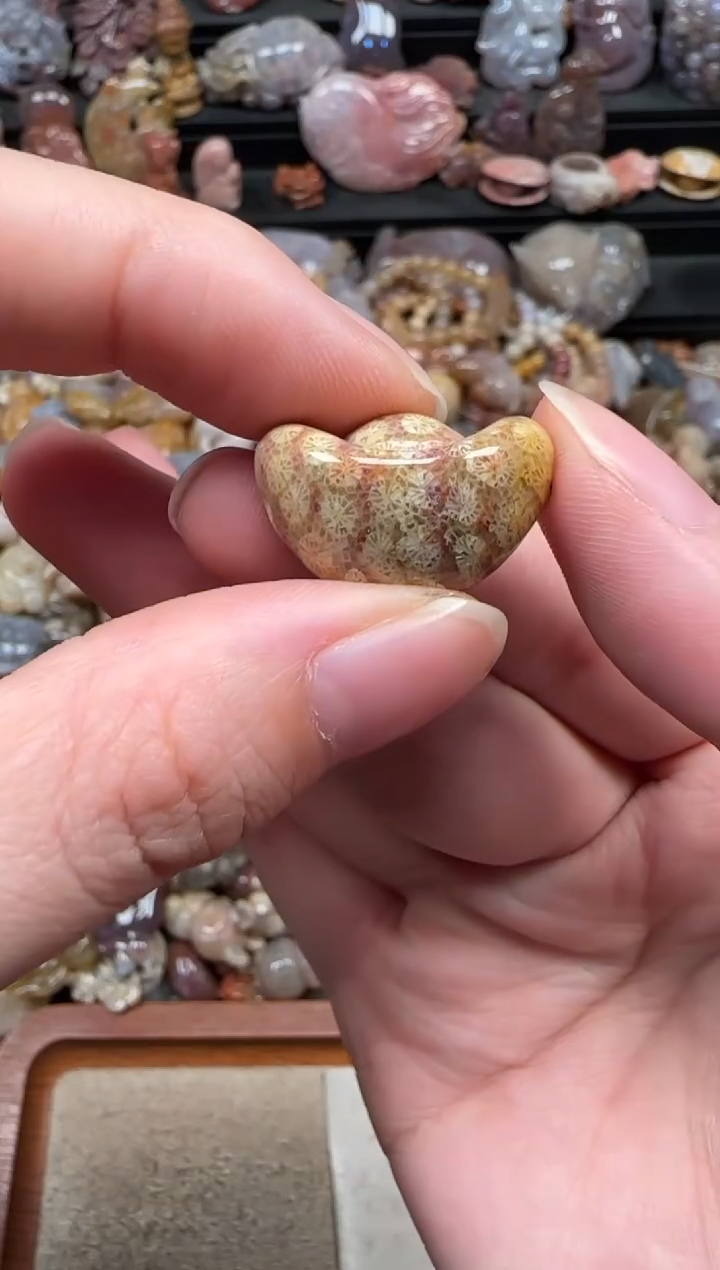 颈饰未镶嵌硅化珊瑚（珊瑚玉）522