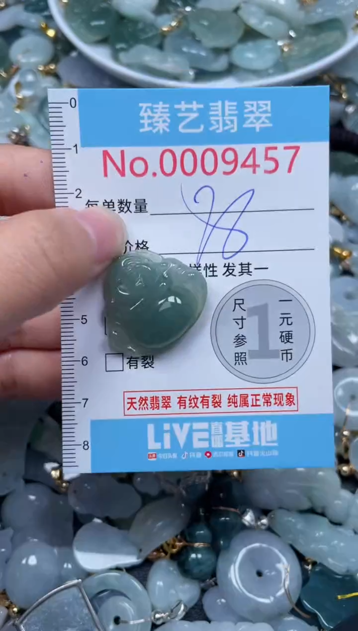 颈饰未镶嵌翡翠9457