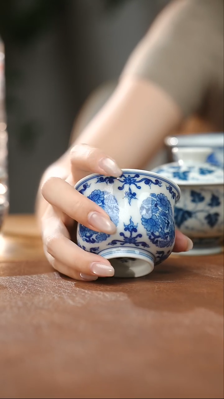 杯子团菊高如是75cc