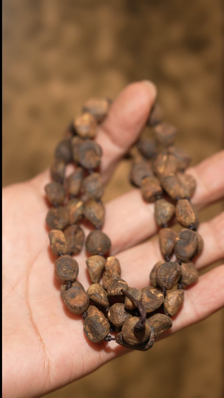 沉香手串大**猎海南绿奇楠沉水树丁虫漏随型长串26克