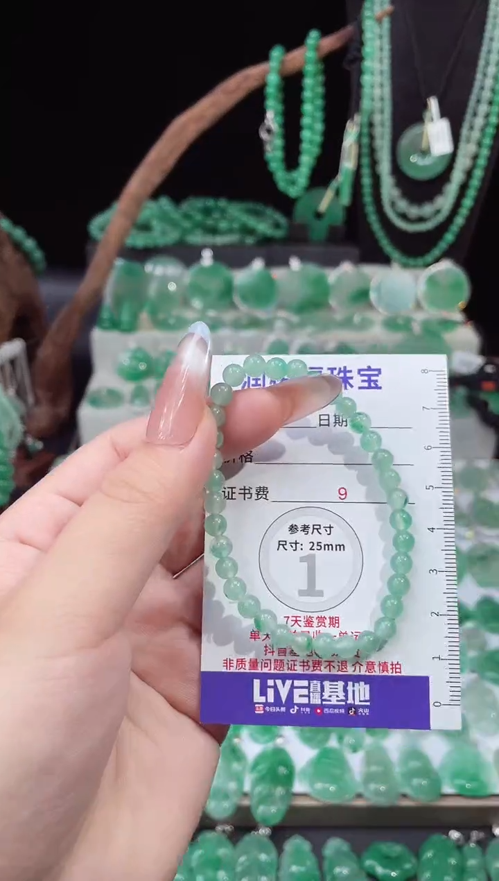 吊坠(赠链)未镶嵌石英质玉（非洲翠）13.228手串