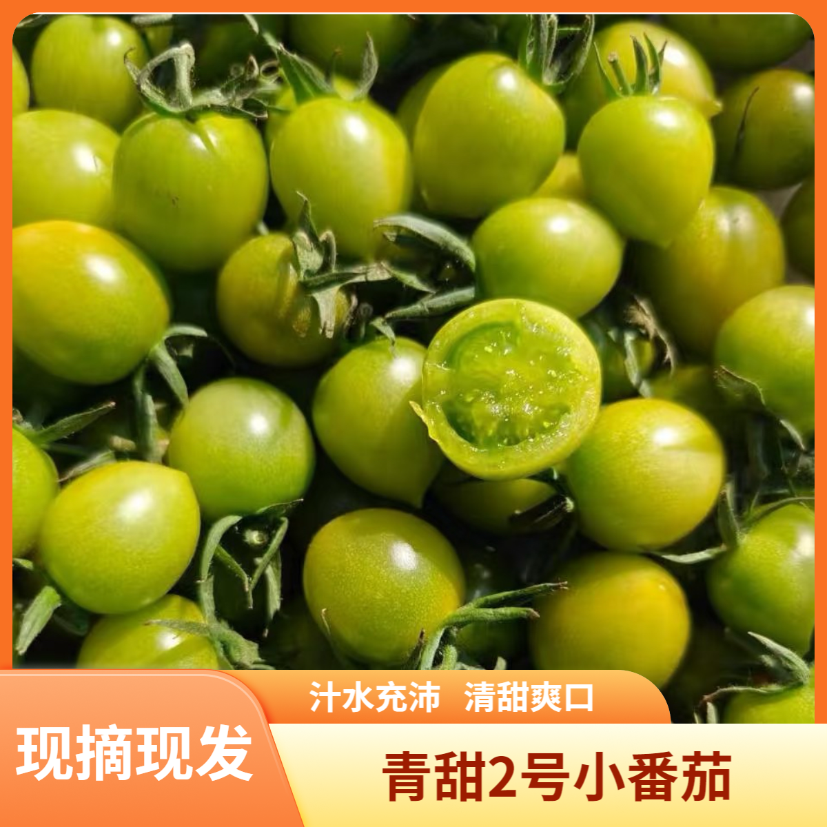 山东泰安直发青甜2号高甜度绿色小番茄现摘现发