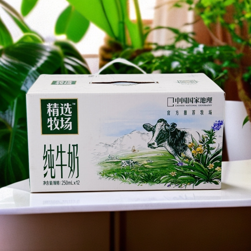 12月产精选牧场纯牛奶250ml×12