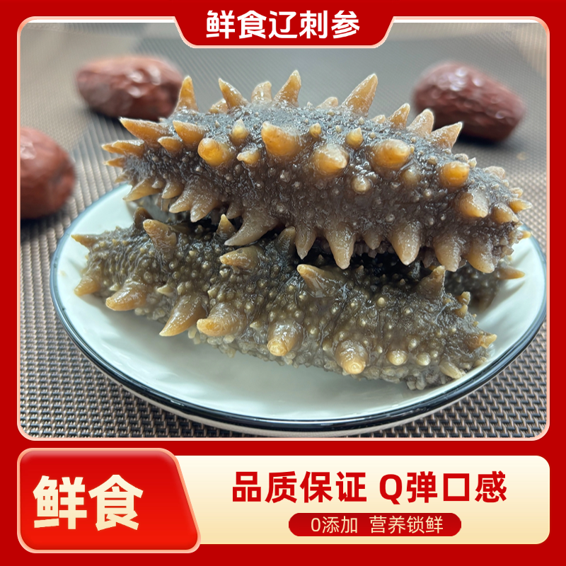 【Q弹口感】3.5块一头即食海参大连辽刺参新鲜食海参（60只）宿舍充饥的食物