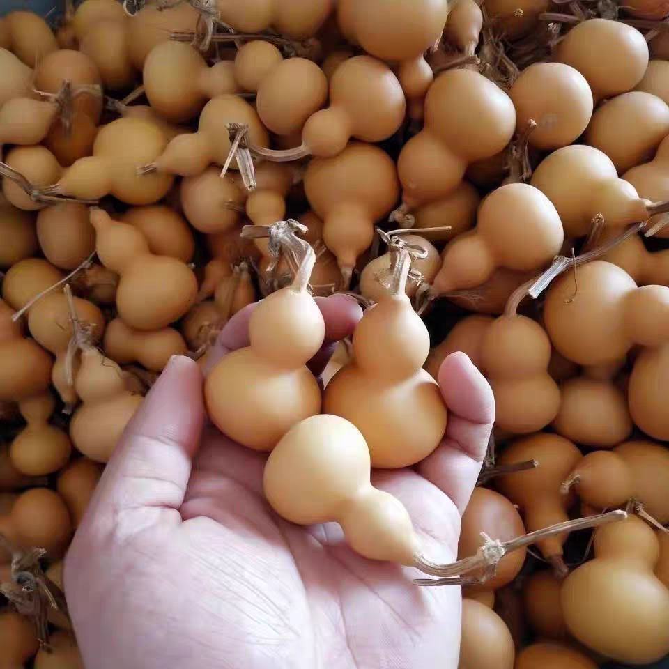 通货天然小葫芦手把件可盘玩不保龙头传统文玩福禄葫芦