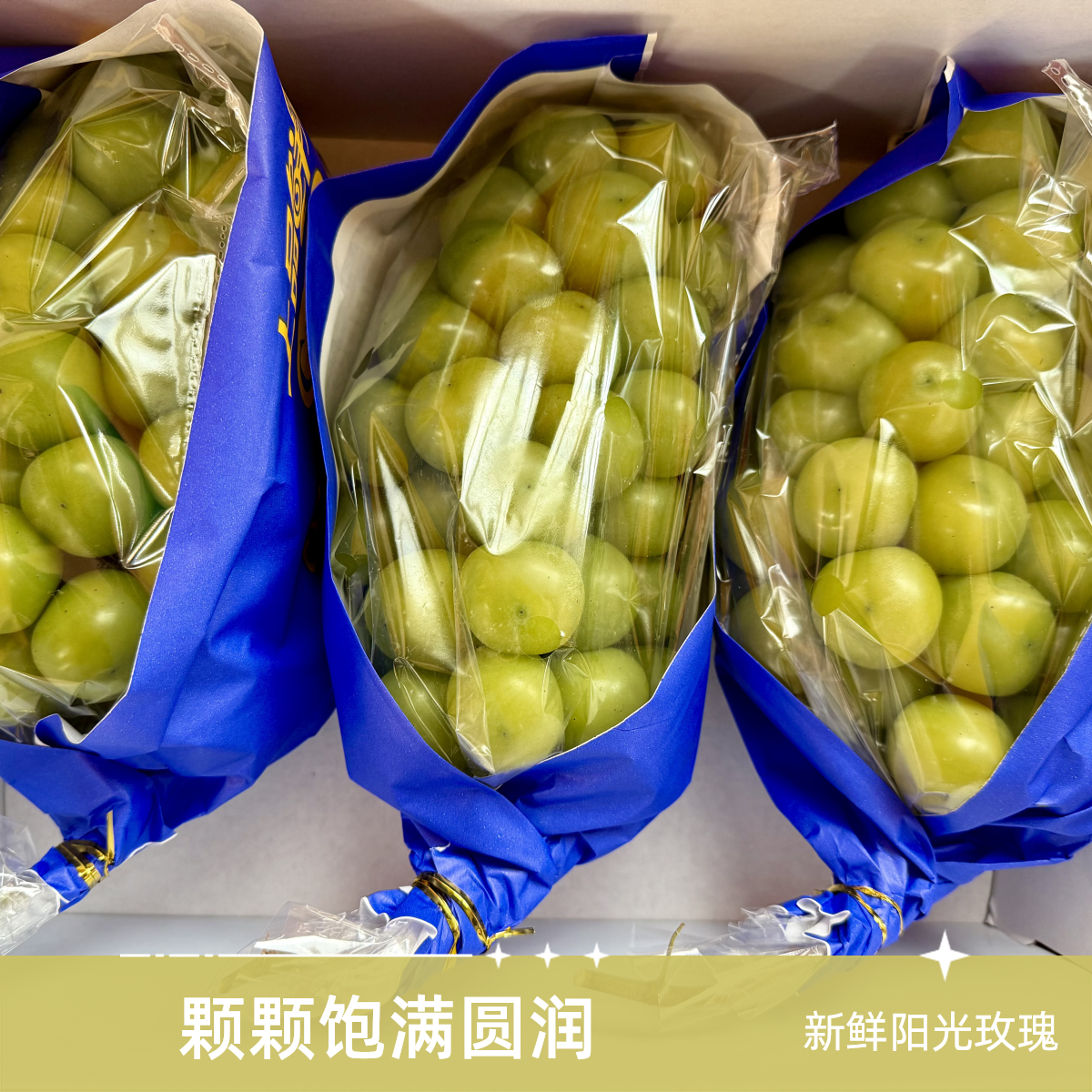 小河子阳光玫瑰葡萄新鲜 整串大果饱满多汁脆甜 清新爽口