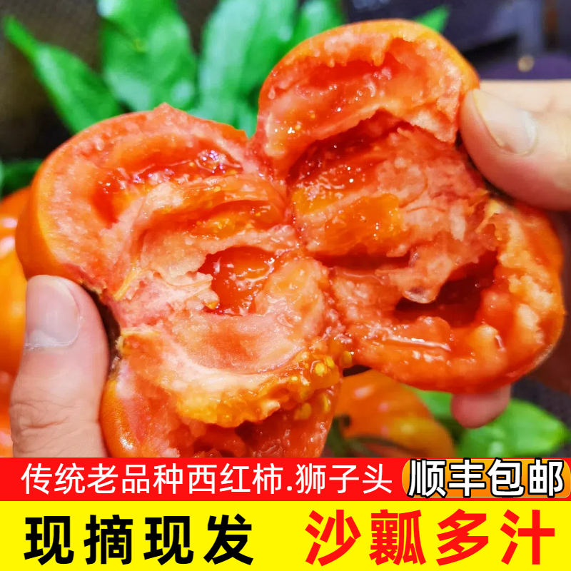 云南老品种沙瓢西红柿狮子头新鲜应季现摘现发可当水果吃的番茄