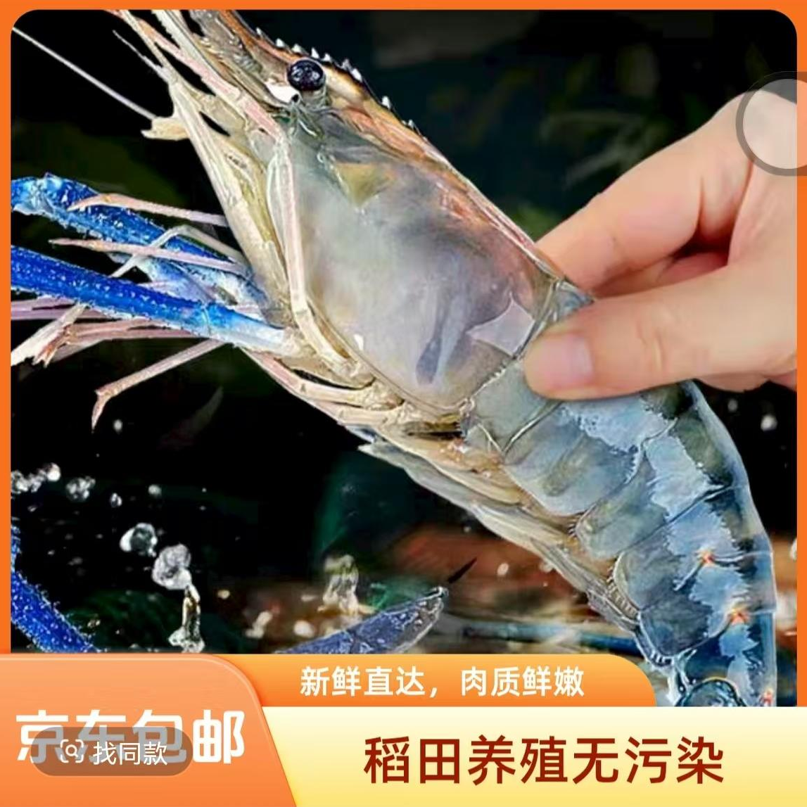 顺丰包邮罗氏虾虾鲜活锁鲜新鲜日期