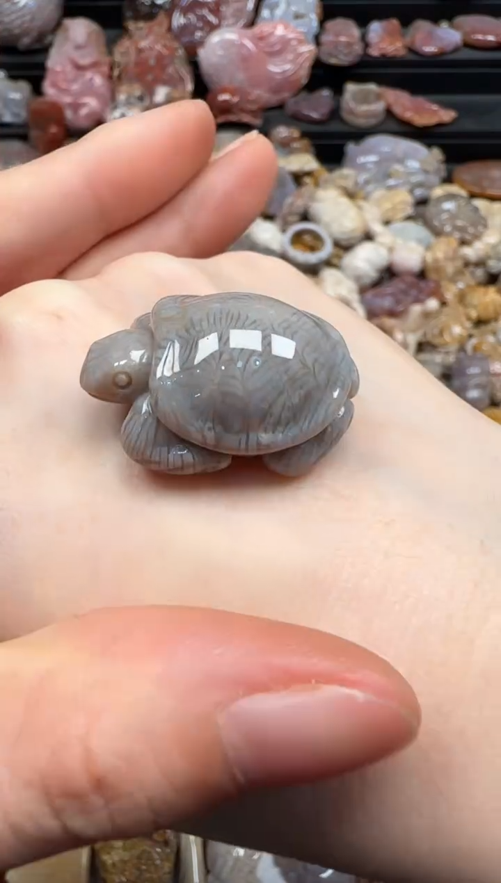 【闪购商品】硅化珊瑚（珊瑚玉）颈饰未镶嵌439